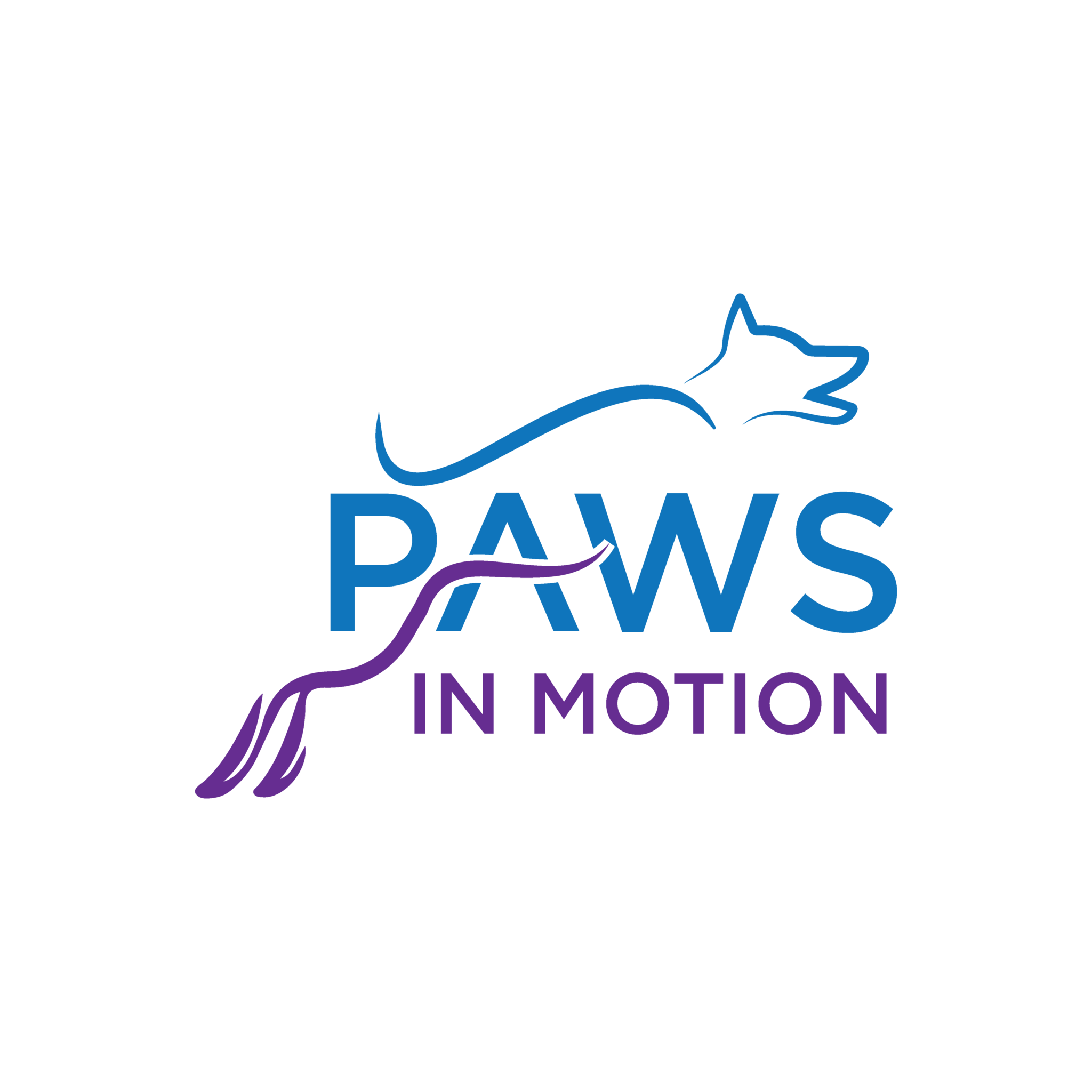 Paws In Motion Veterinary Rehab | Harrisburg Rehab Vet