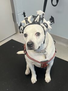 Zoey Wise Grad photo